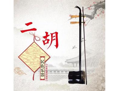 招聘淮北二胡家教老师